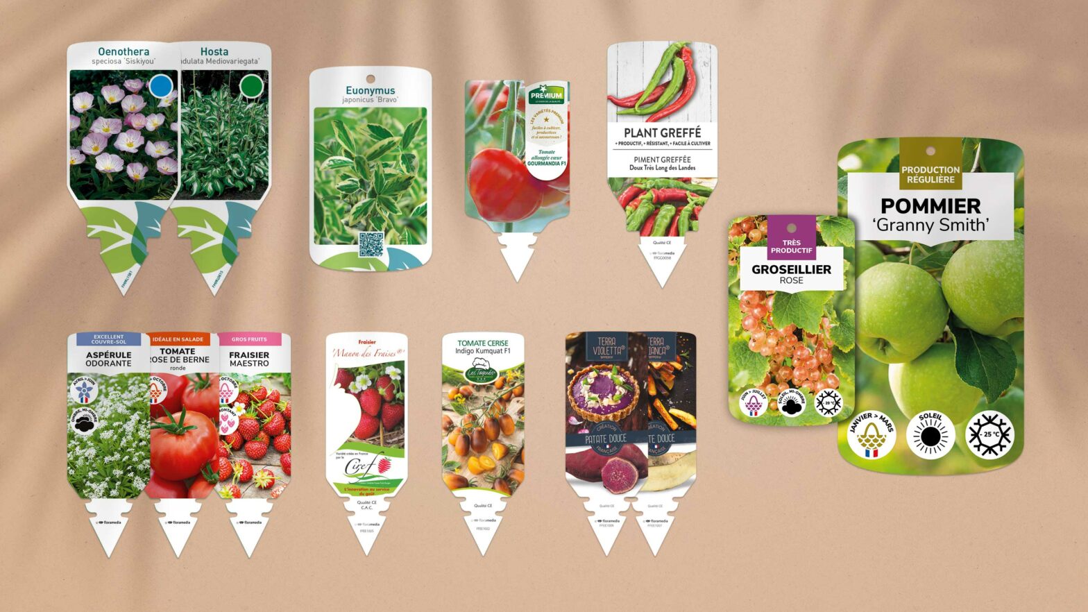 Chromos Stock - Floramedia - Agence de communication et marketing horticole