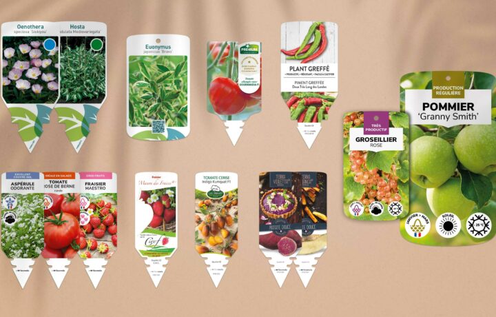 Chromos Stock - Floramedia - Agence de communication et marketing horticole