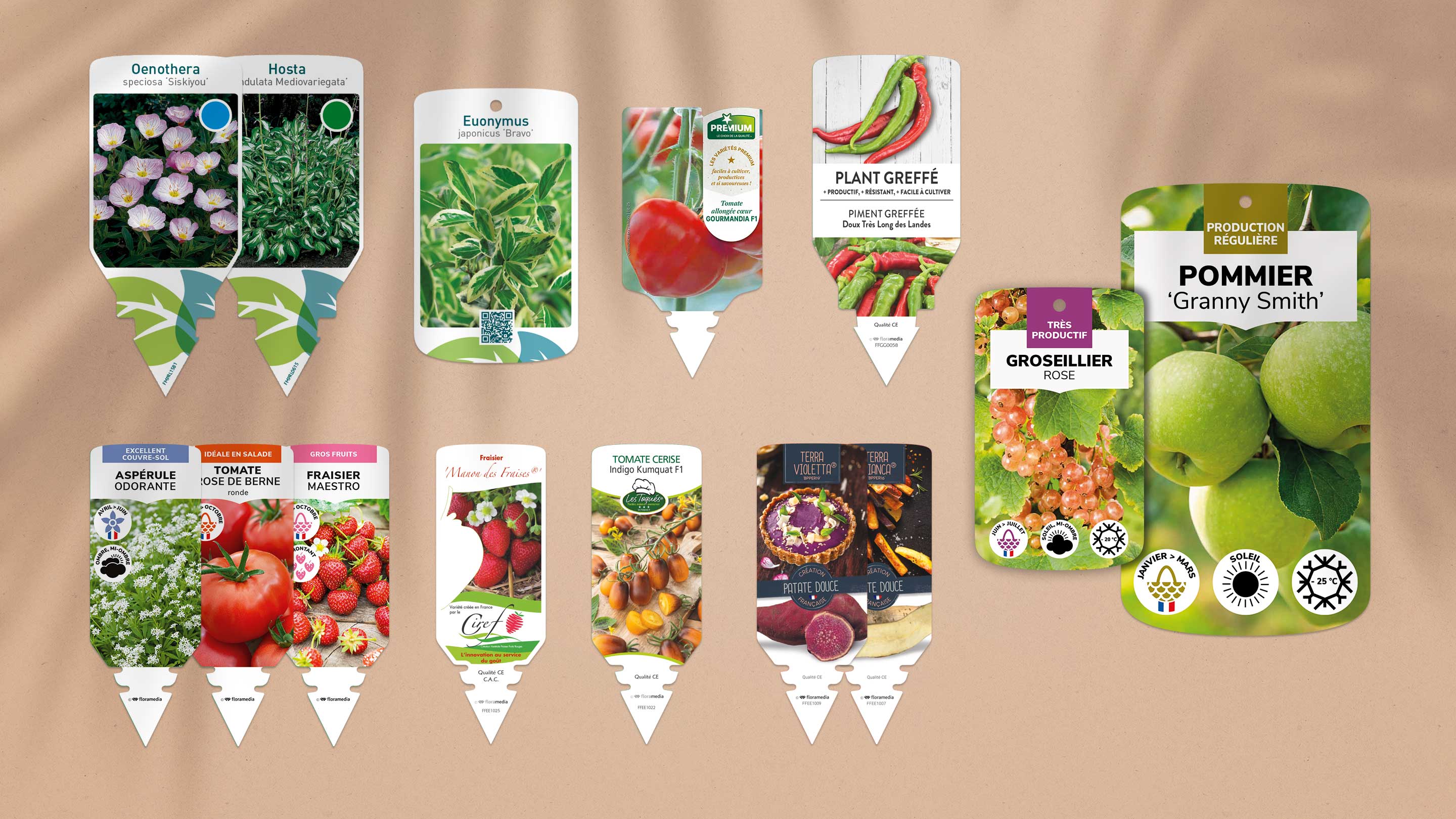 Chromos Stock - Floramedia - Agence de communication et marketing horticole