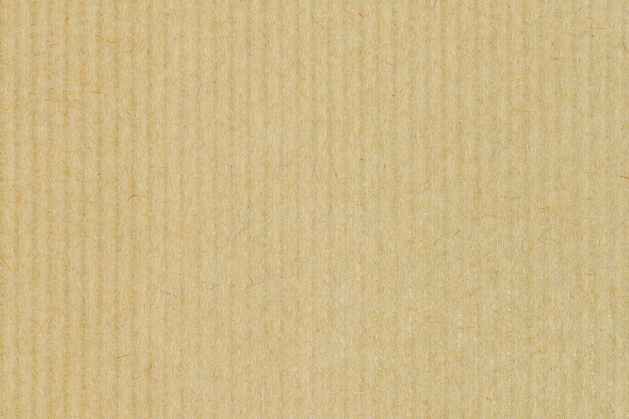 Floramedia-materiaux_papier_kraft