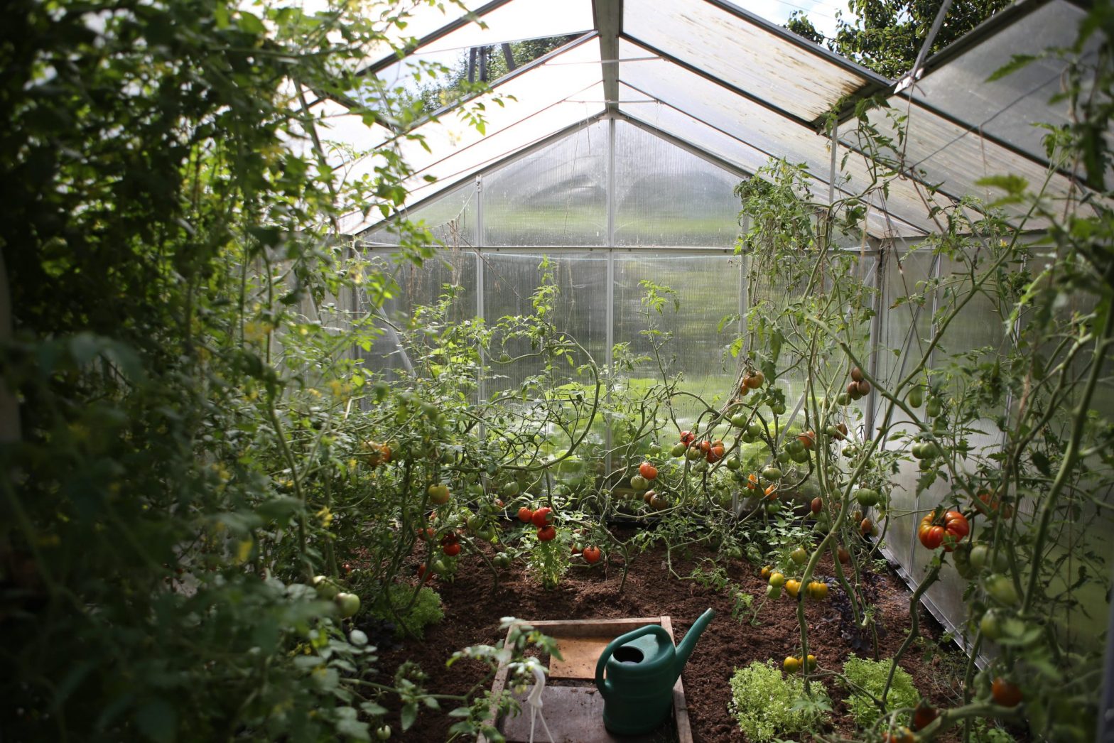 Blog Floramedia - Les Français et le potager