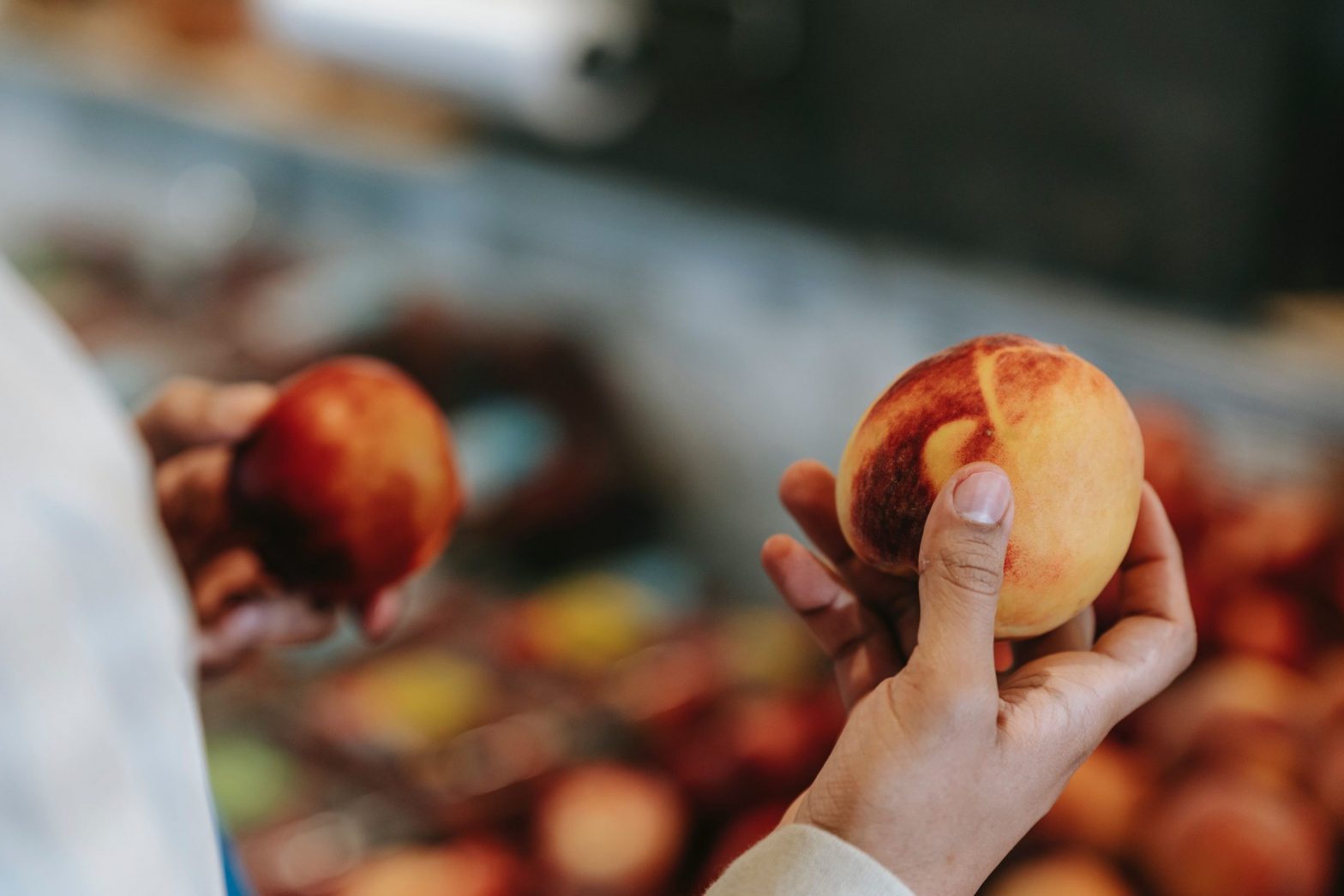 Blog Floramedia - Les critères achats consommateurs 2022 jardin