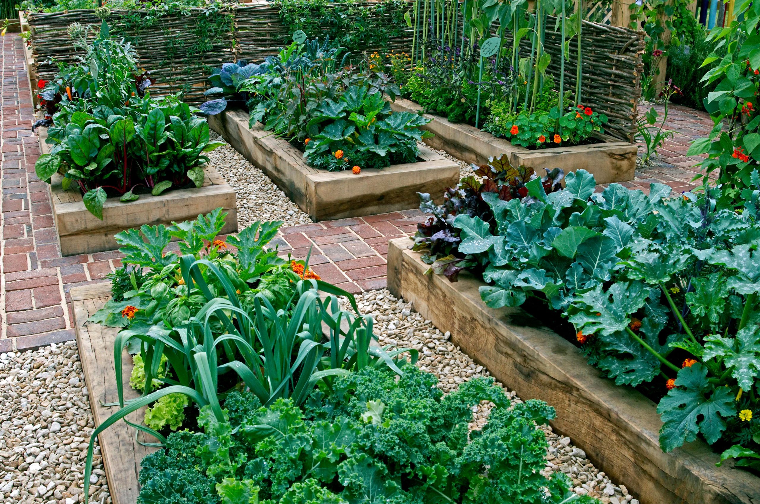 Floramedia : agence communication horticulture : chromos, étiquettes plantes, photographies horticoles, sachets semences