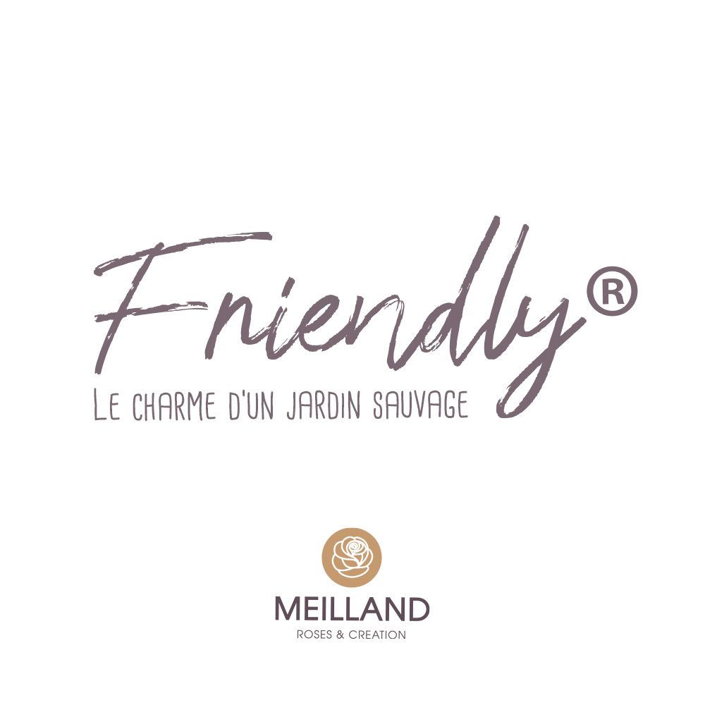 Logo Friendly Meilland Floramedia