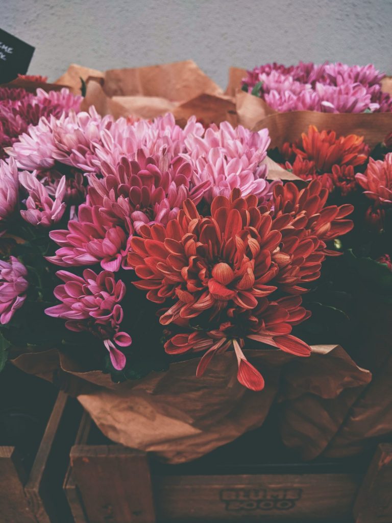 Achats de fleurs : quel rapport les Français ont-ils avec les fleurs ?