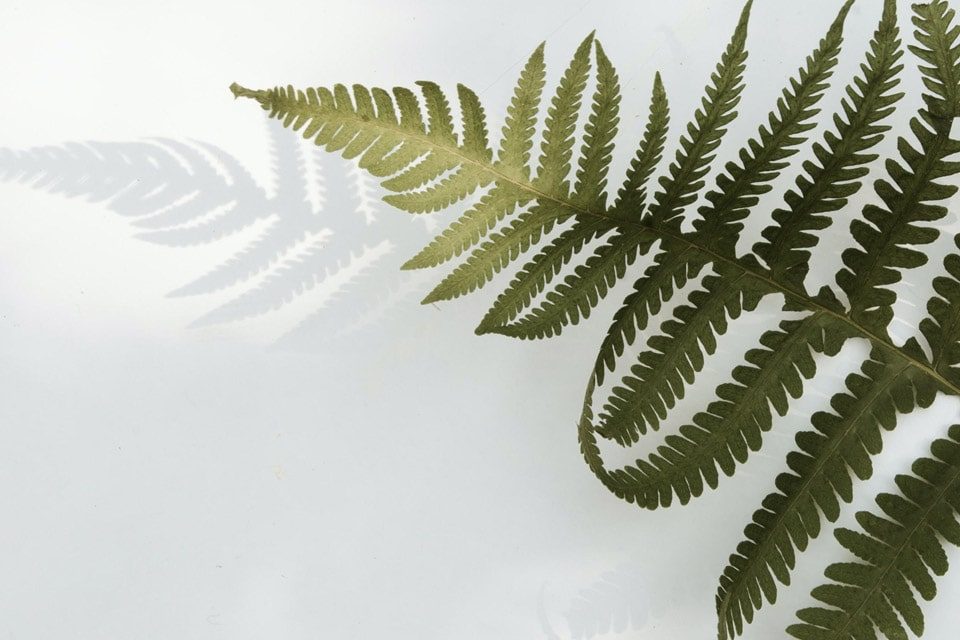 Floramedia_agence_communication_horticole_nos-engagements2-min
