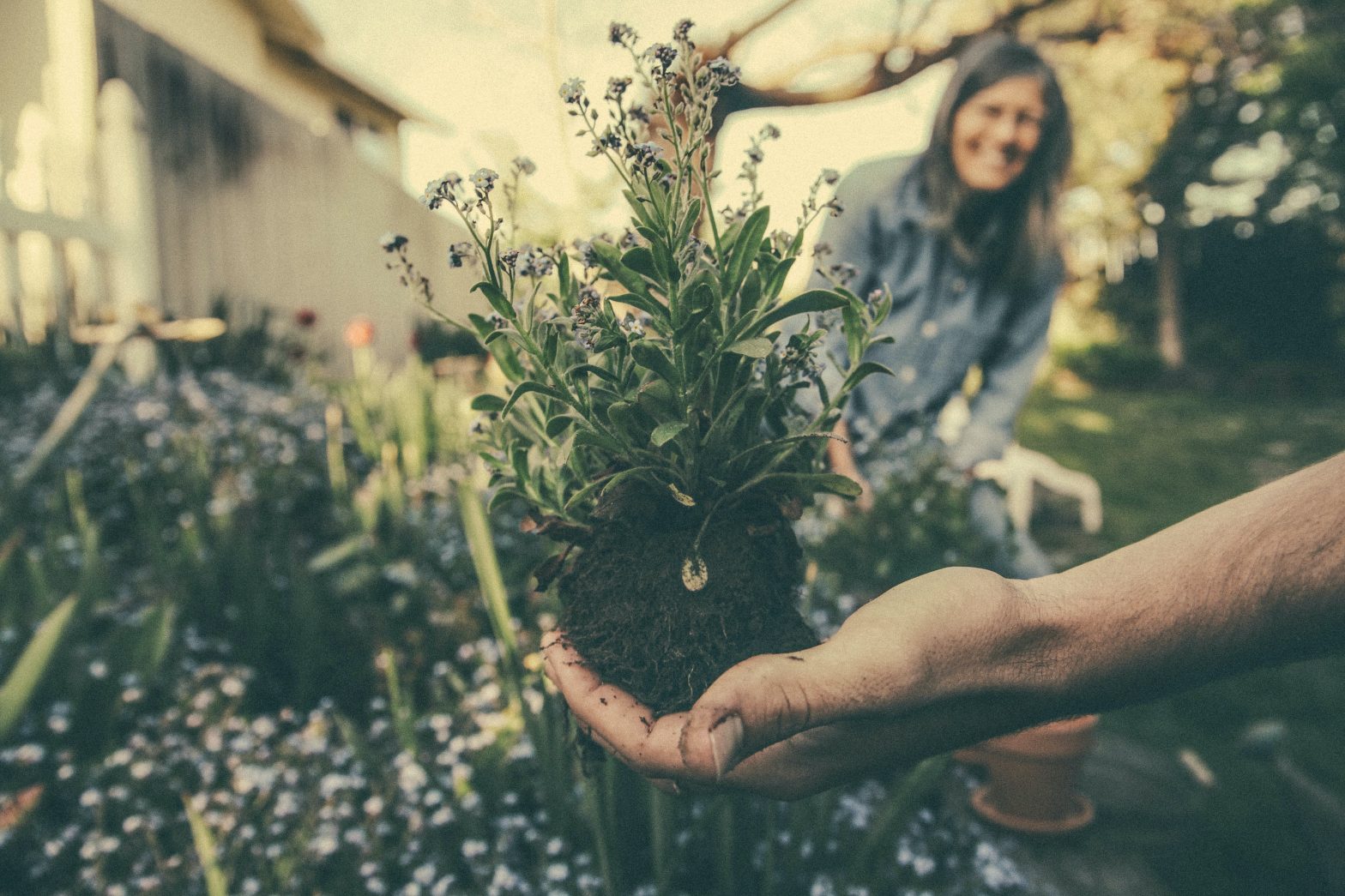 Floramedia, agence de communication spécialisée dans l'horticulture : tendance marketing, économie servicielle