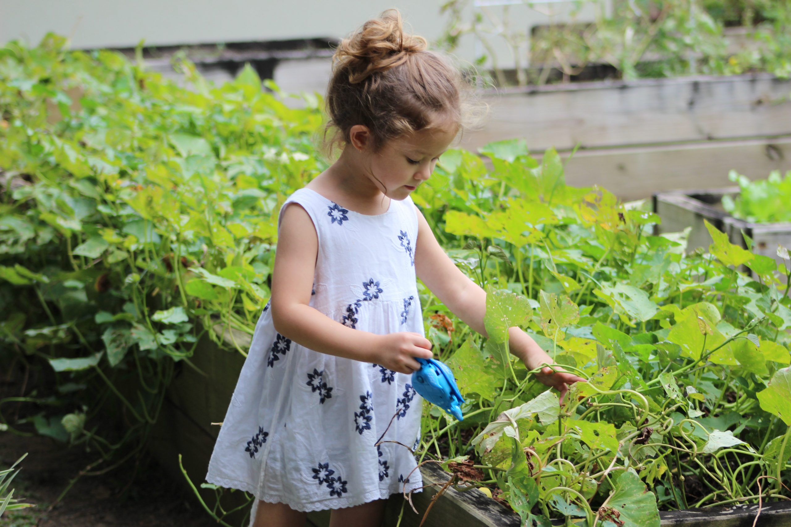 Floramedia, agence de communication spécialisée dans l'horticulture : les enfants et le végétal