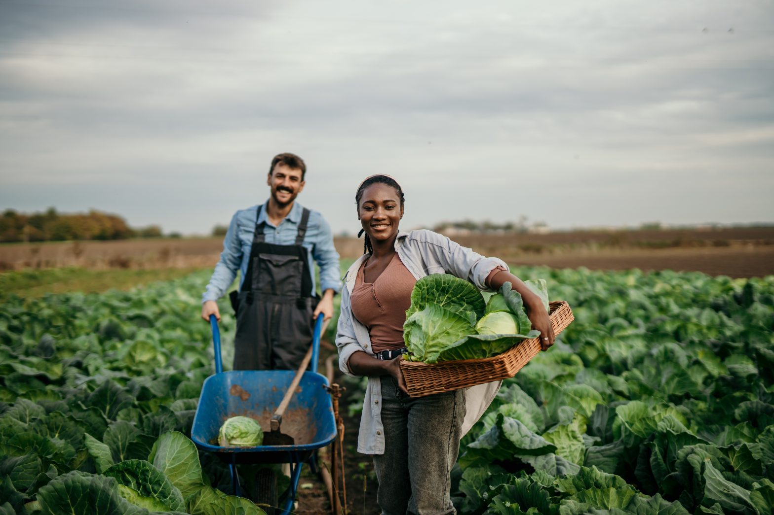 Agence communication horticole Floramedia, tendances végétales - greenfluenceurs