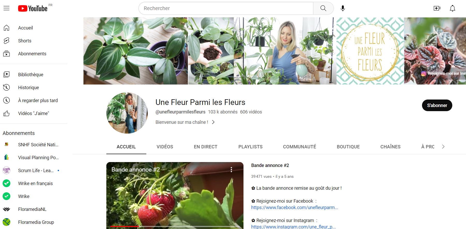 Agence communication horticole Floramedia, tendances végétales - greenfluenceurs
