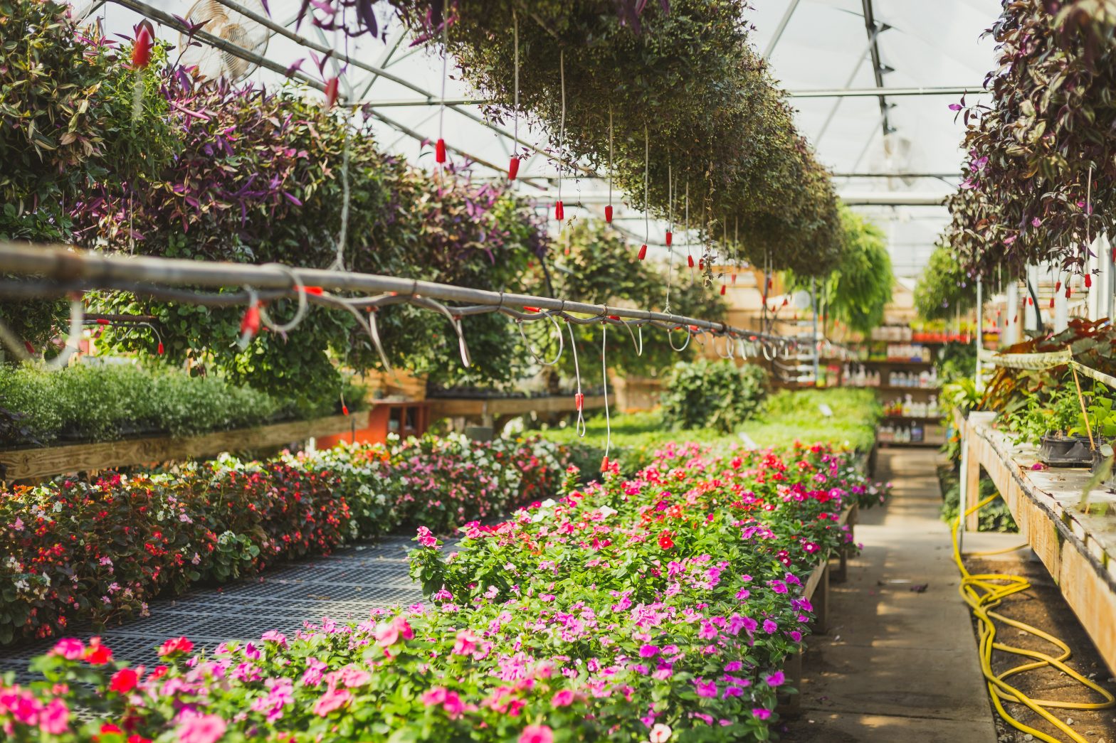 Agence communication horticole Floramedia, nouvelles pratiques culturales horticulture