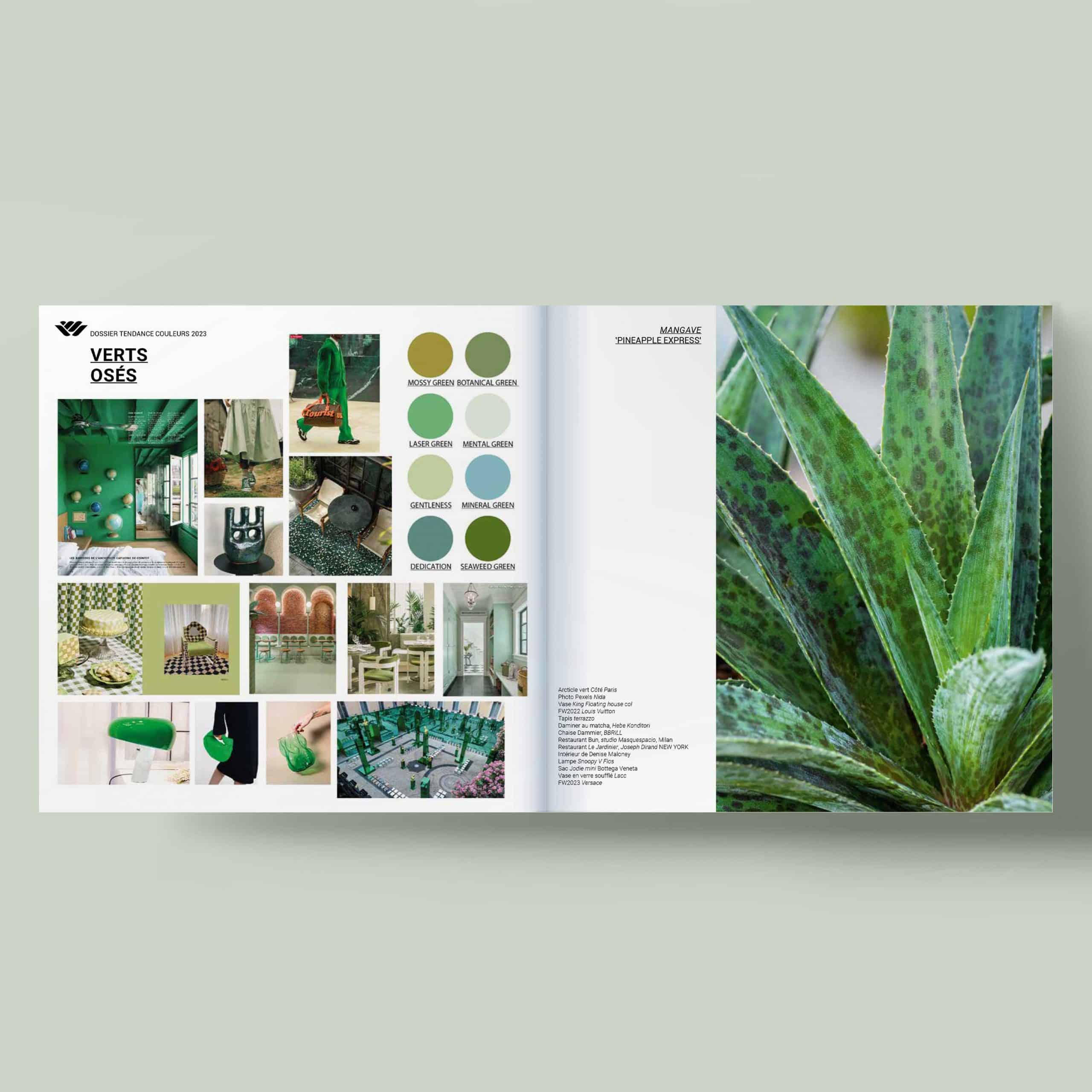 Floramedia - Agence communication horticole. Tendances végétales et design