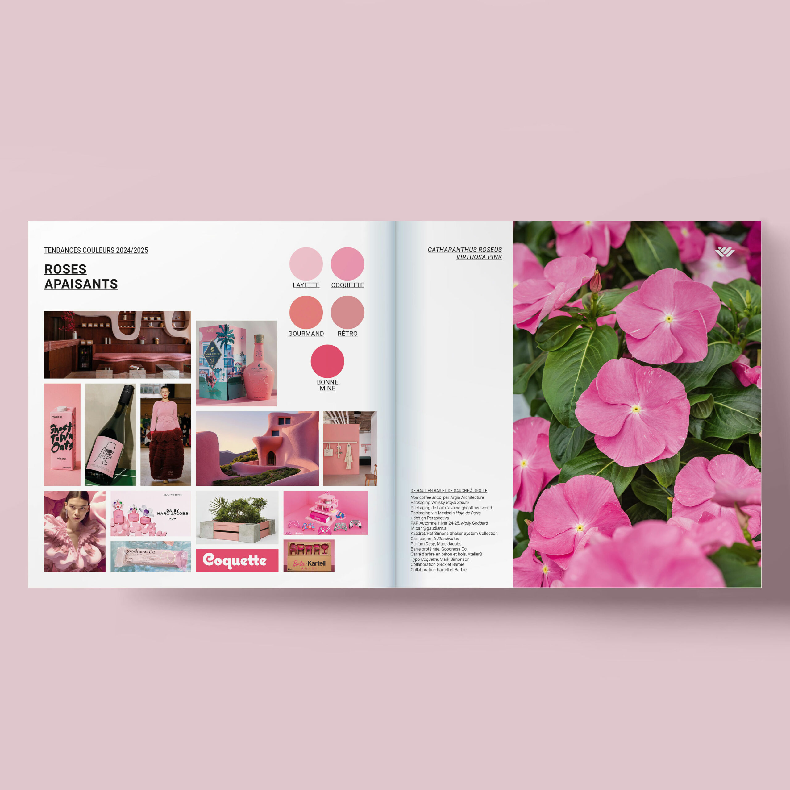 Floramedia_tendances_couleurs_2024-2025_02