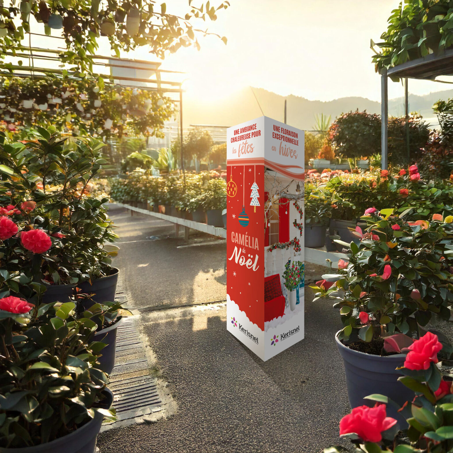 Floramedia - Agence de communication et marketing horticole - impact supports PLV vente vegetaux