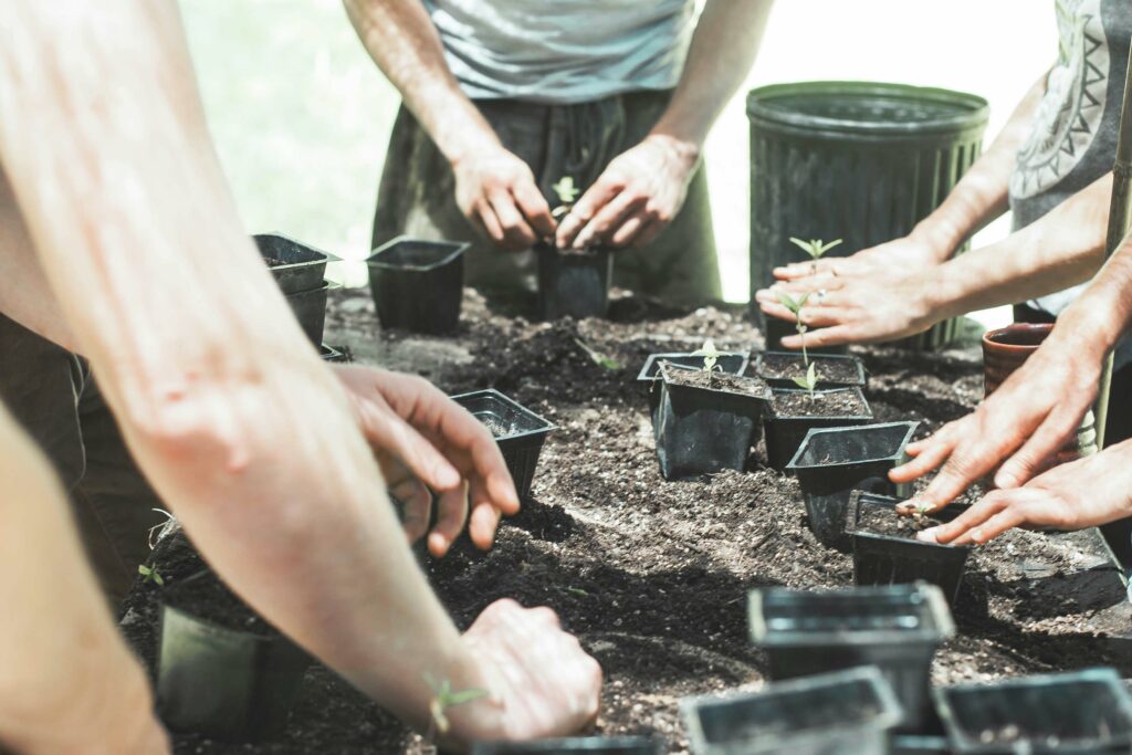 Floramedia - agence communication horticole - communication responsable 