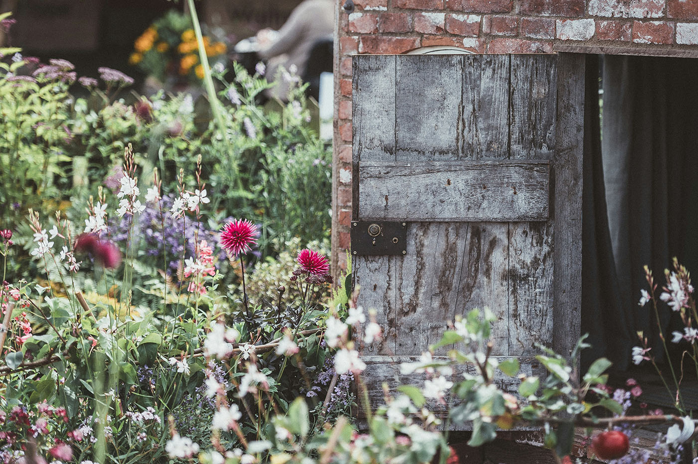 Floramedia - Agence de communication et marketing horticole - Tendances végétal 2025