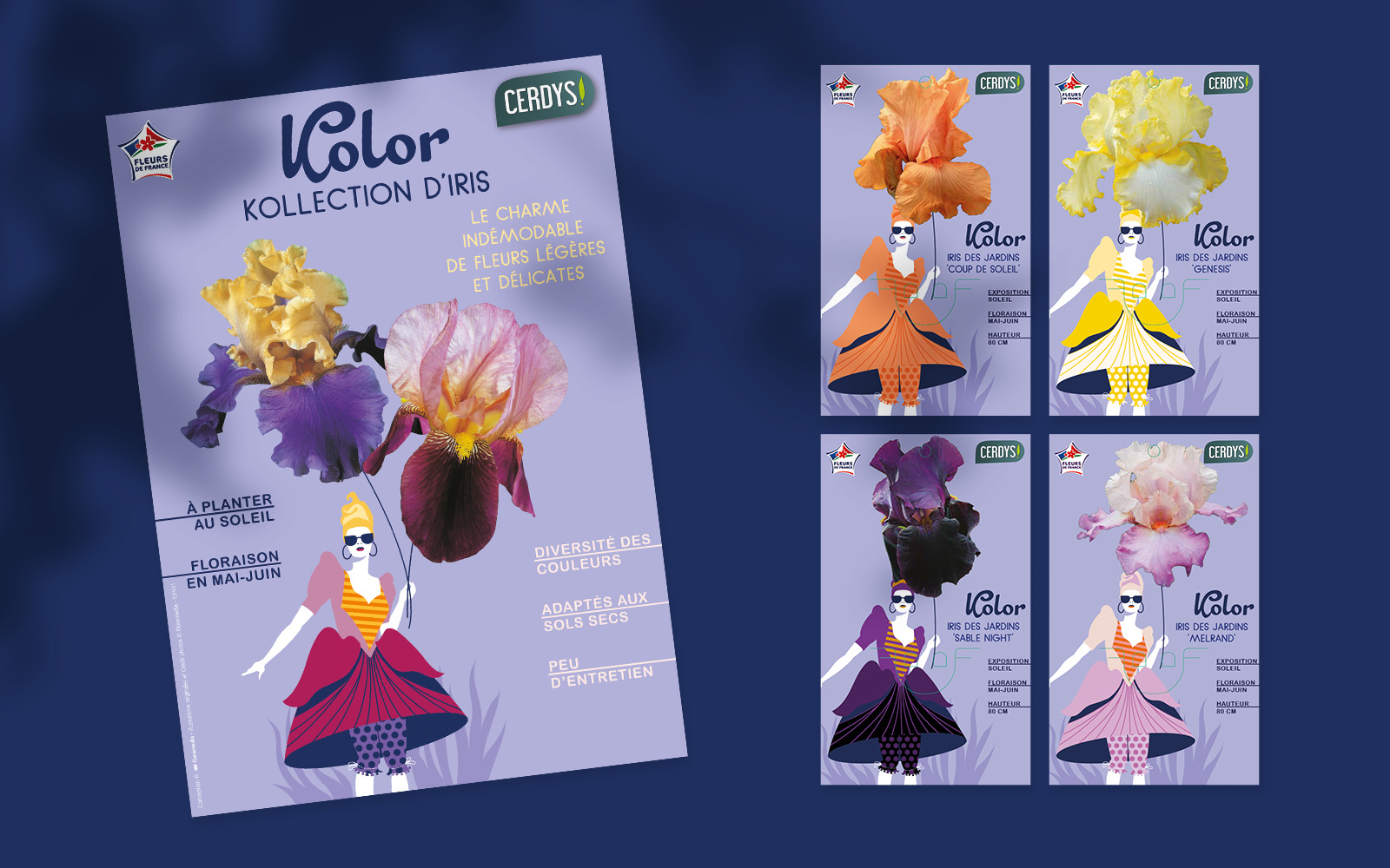 Floramedia Agence communication horticole - Nos réalisations : chromos personnalisés et ILV Iris Kolor Cerdys
