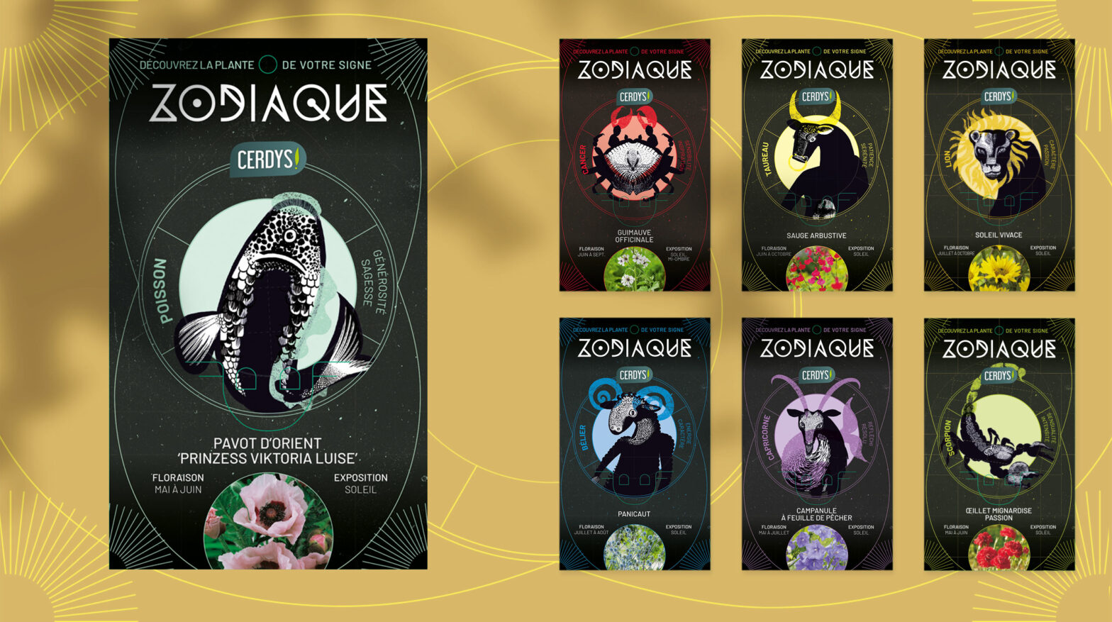 Projet_Floramedia_Cerdys_Zodiaque_Illustrations_Personnalisees_project