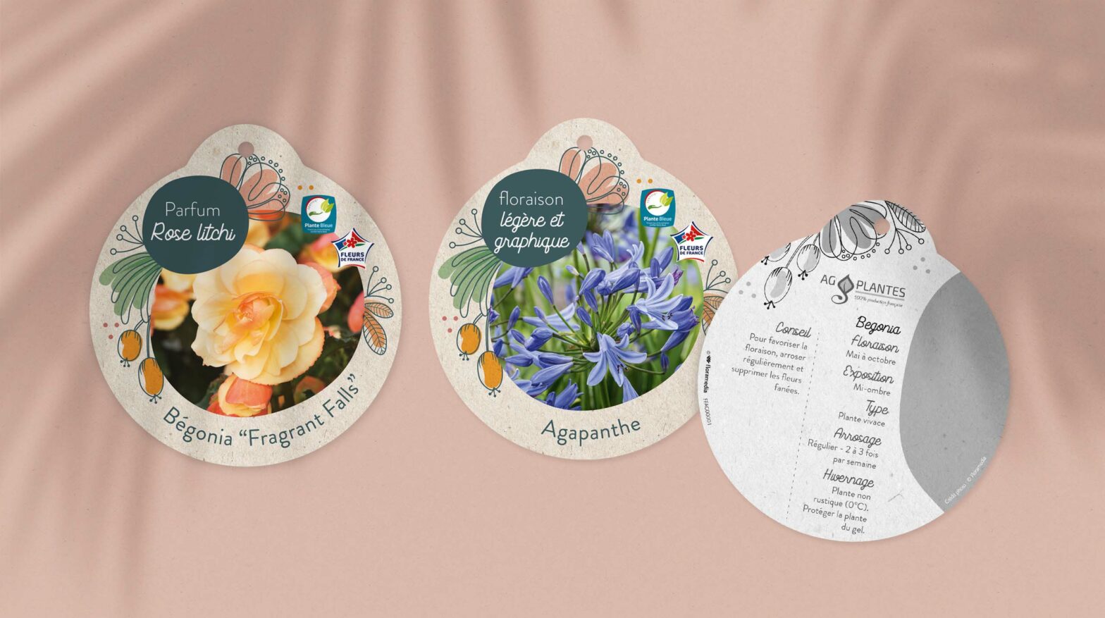 Floramedia Agence communication horticole - Nos réalisations : chromos personnalisés AG Plantes fleuries