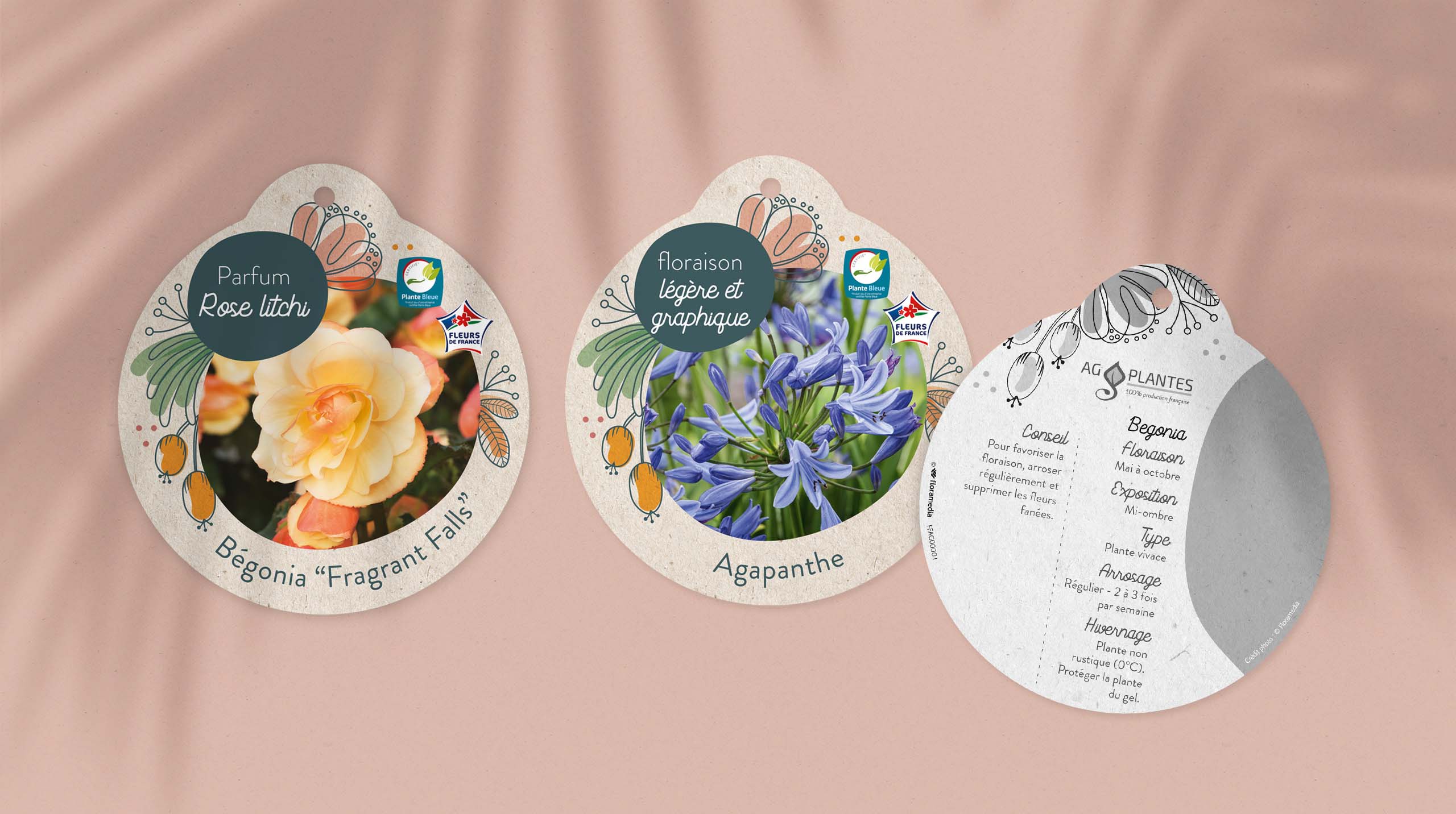 Floramedia Agence communication horticole - Nos réalisations : chromos personnalisés AG Plantes