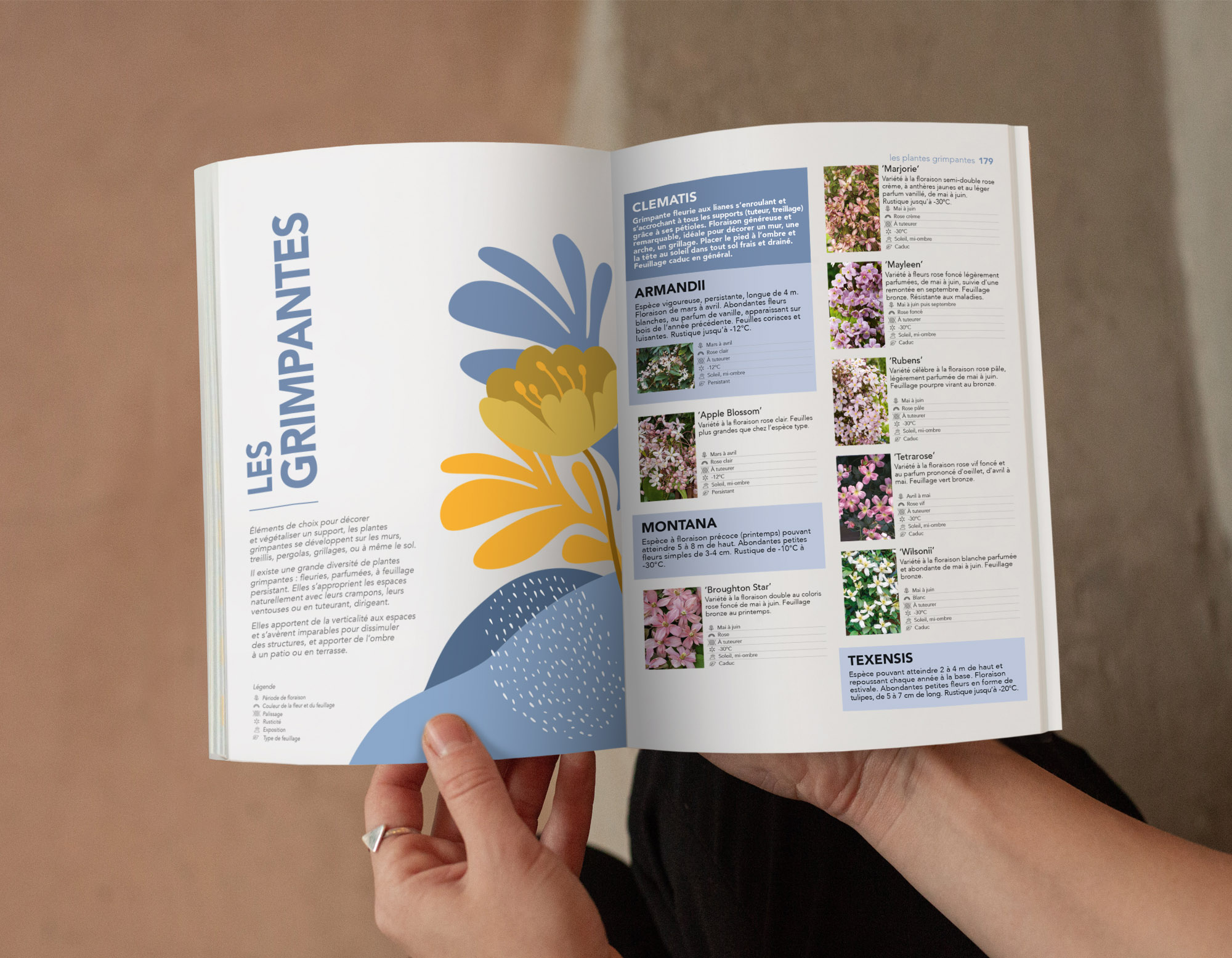 Floramedia Agence communication horticole - Nos réalisations : Le Botanique Kerisnel