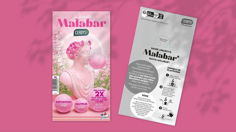 Cerdys_SaugeMalabar_Floramedia