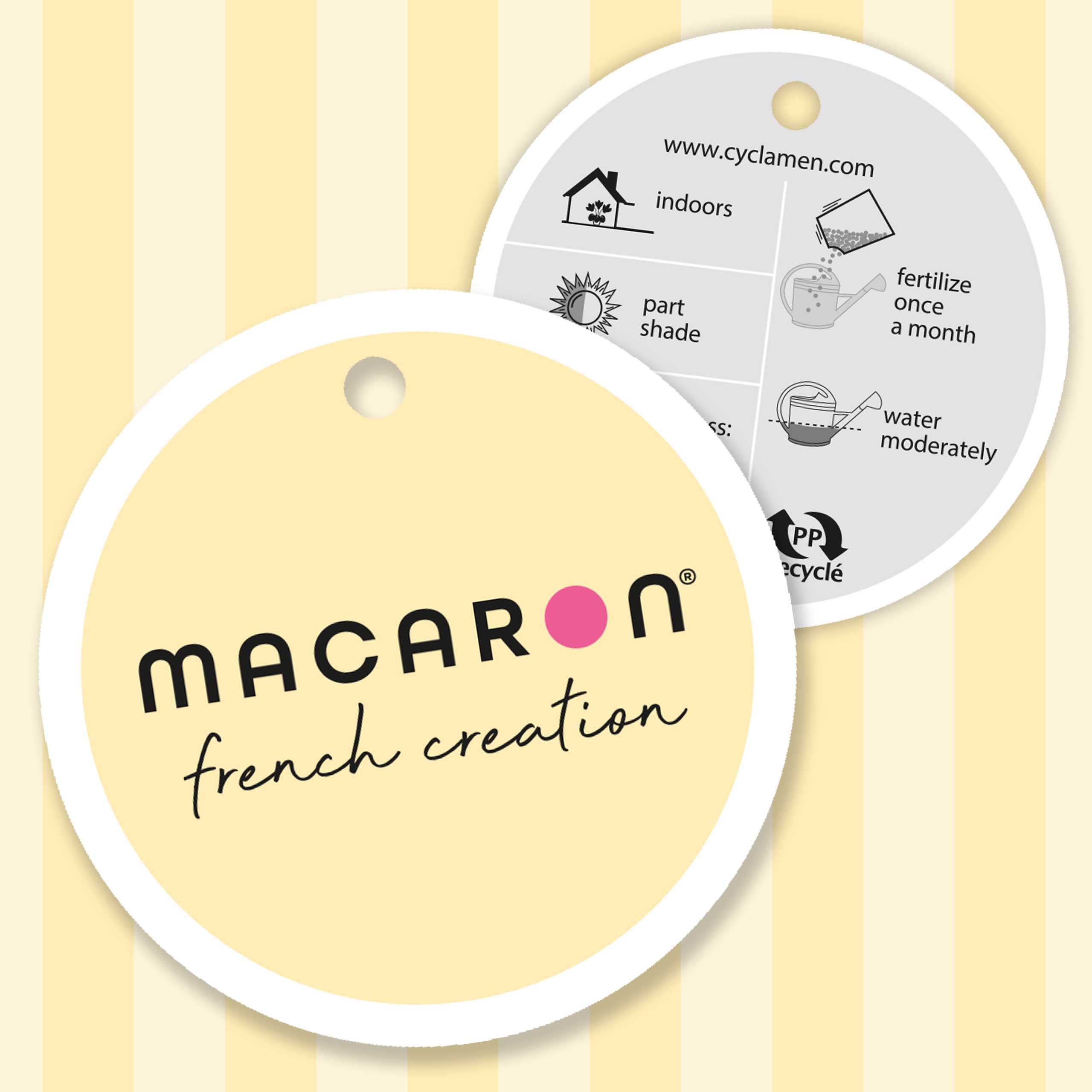 Floramedia_realisations_branding_Morel_Macaron