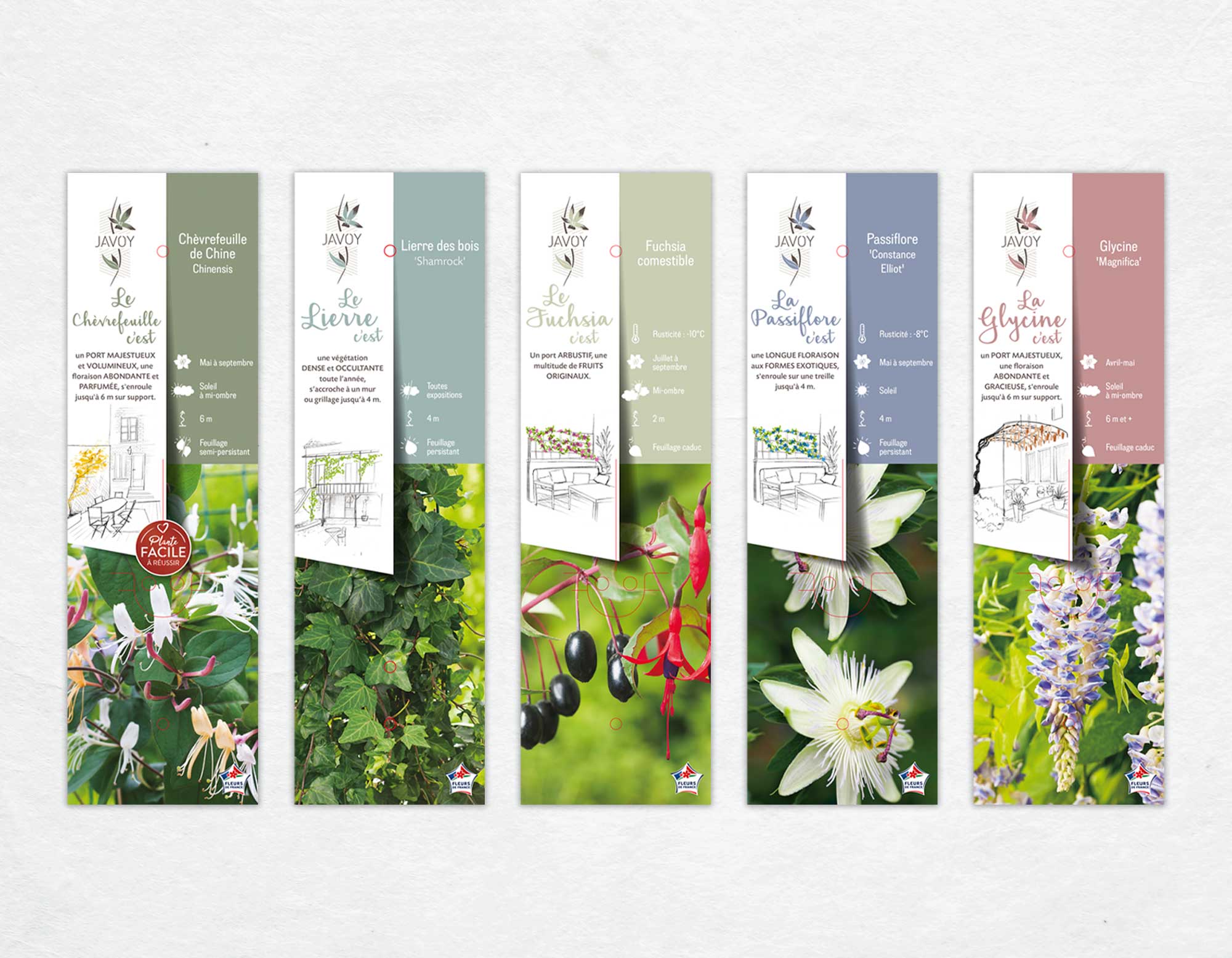 Floramedia - Réalisation : logo et identité visuelle Javoy