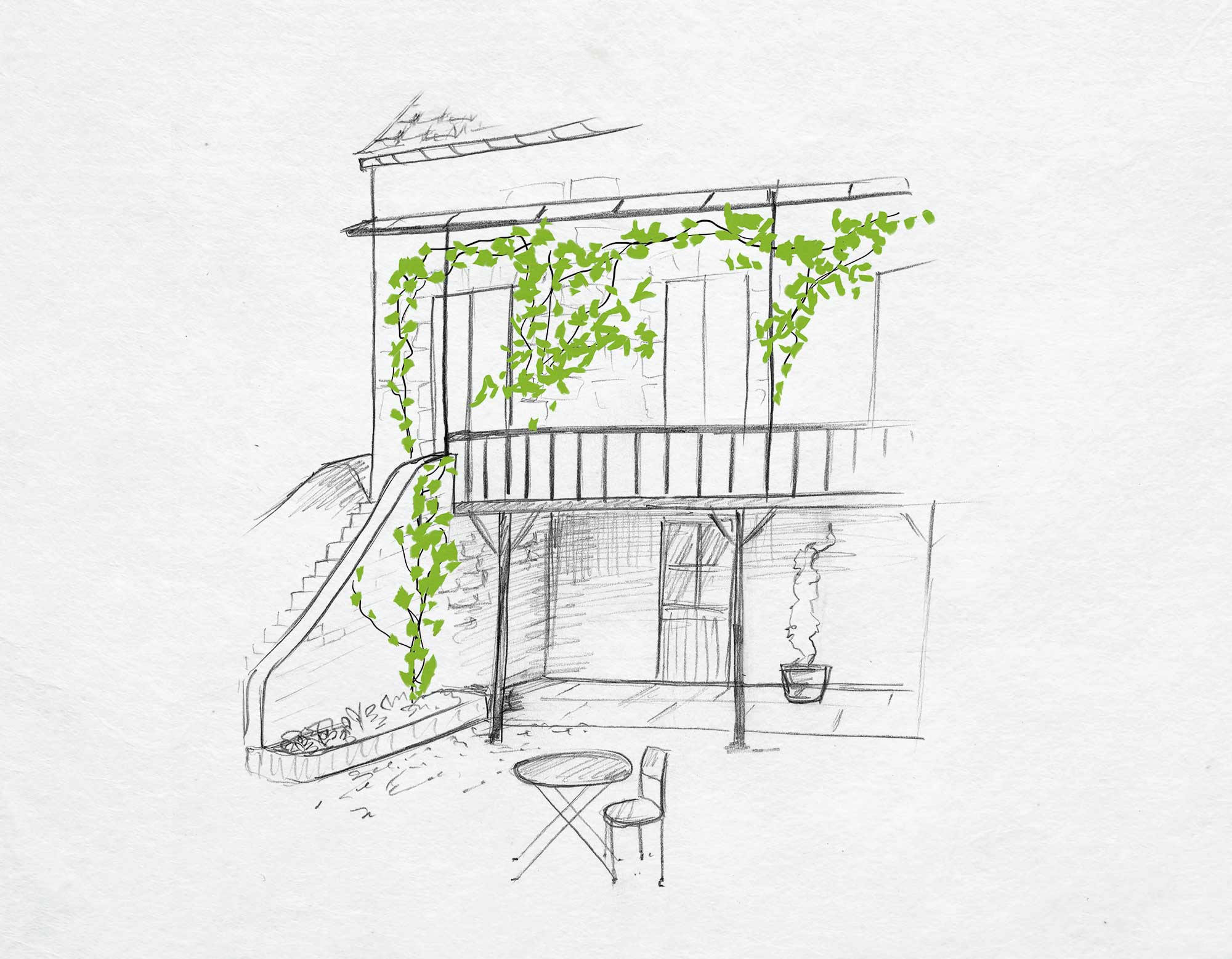 Floramedia - Réalisation : logo et identité visuelle Javoy