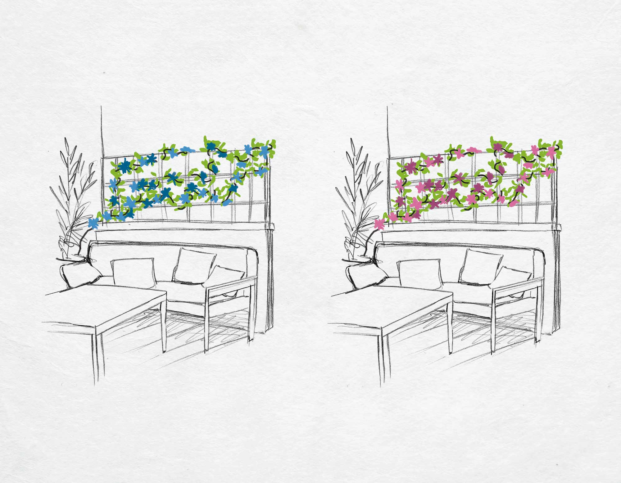 Floramedia - Réalisation : logo et identité visuelle Javoy