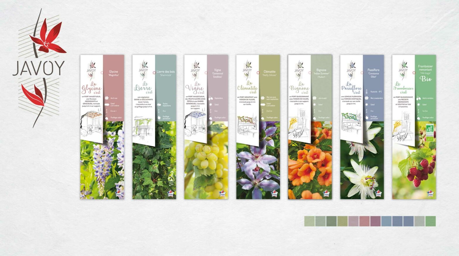 Floramedia - Réalisation : logo et identité visuelle Javoy