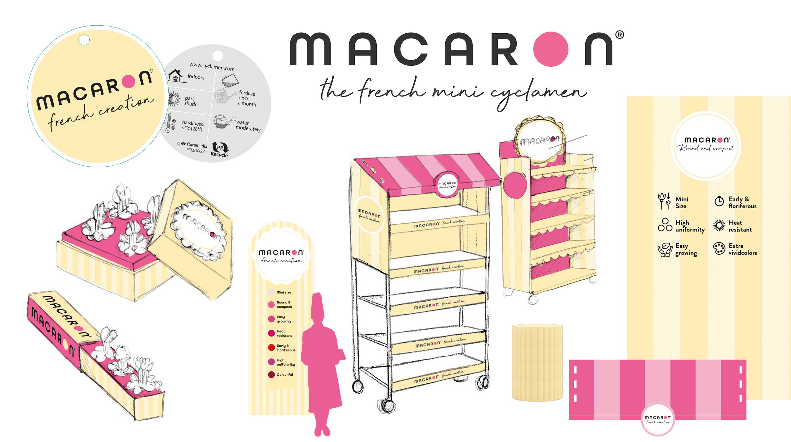 Floramedia_realisations_branding_Morel_Macaron Floramedia_realisations_branding_Morel_Macaron