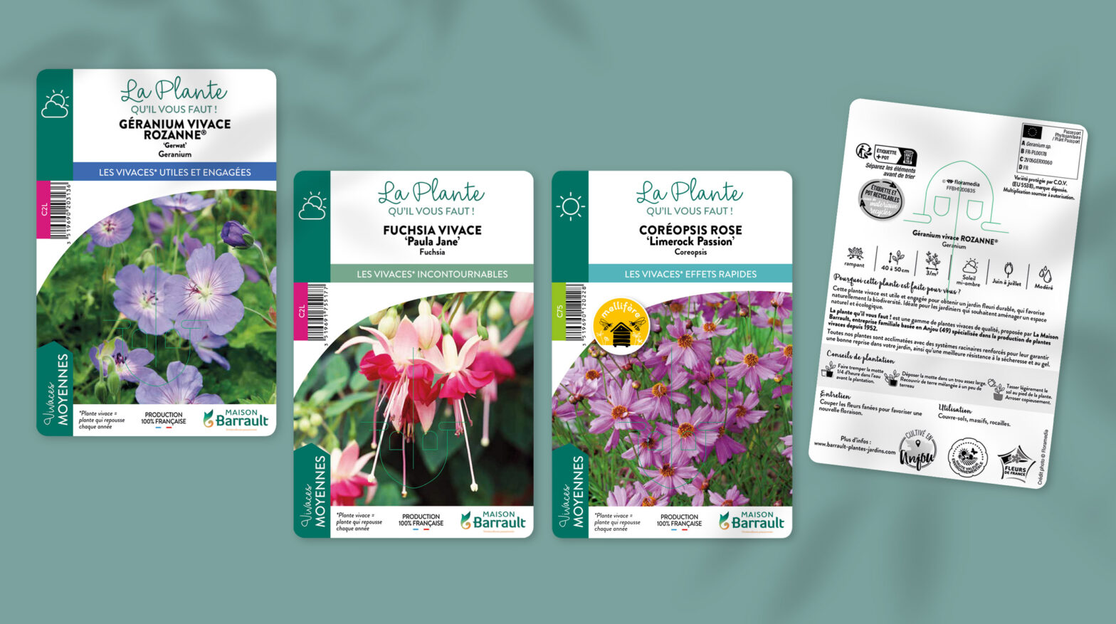 Floramedia - realisations, barrault vivaces chromos
