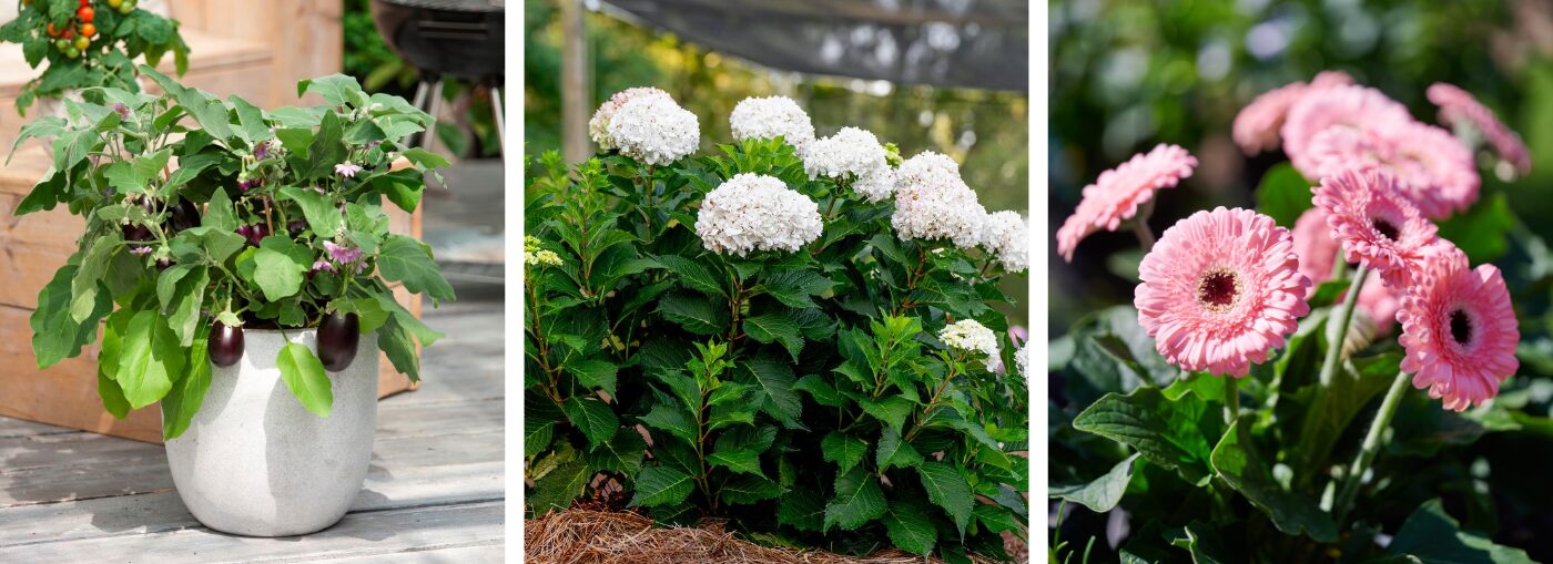 photo-1504672281656-e4981d70414b