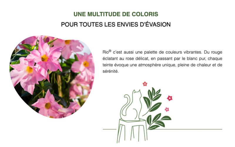 Floramedia Syngenta Rio site internet