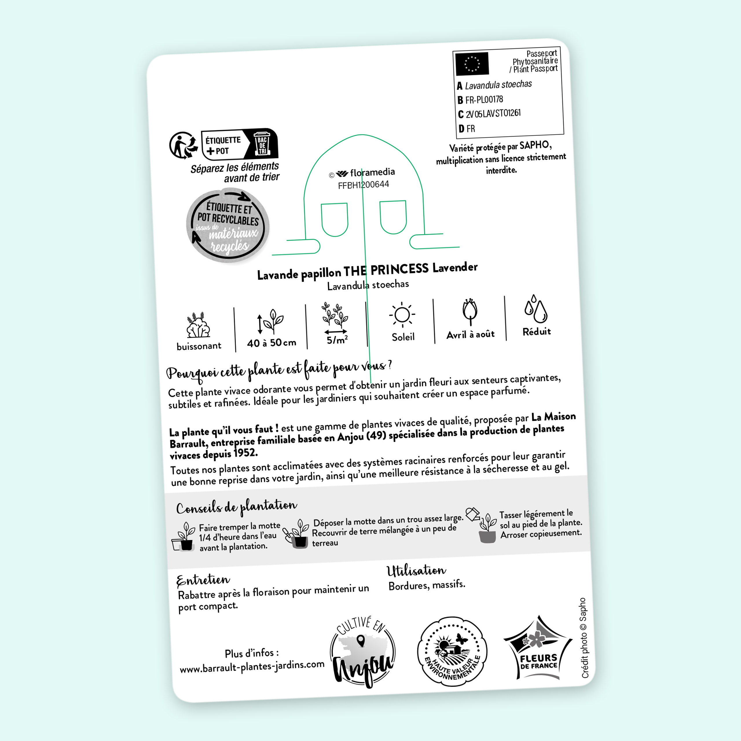 Floramedia - realisations, barrault vivaces chromos