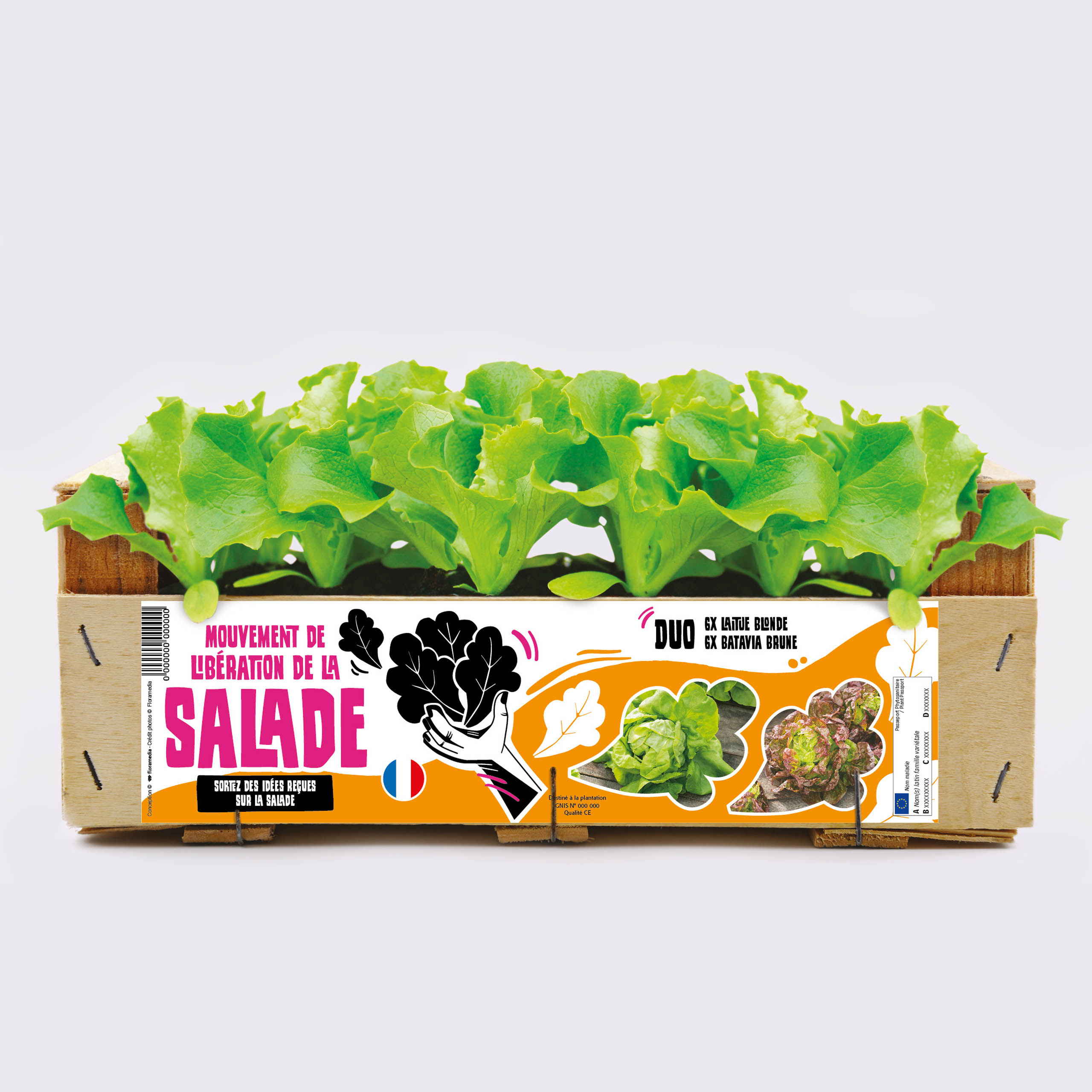 concept marketing végétal - Floramedia - Agence de communication et marketing horticole