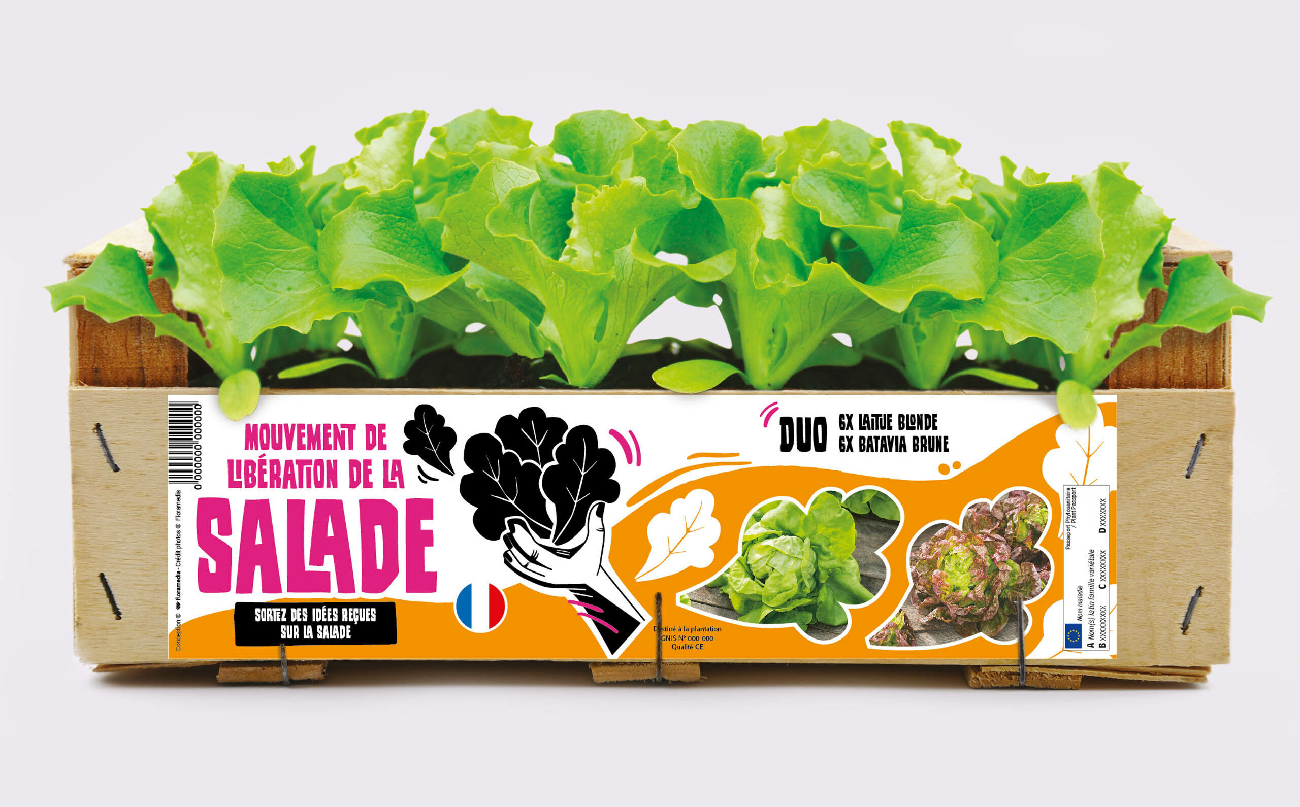 concept marketing végétal - Floramedia - Agence de communication et marketing horticole concept marketing végétal - Floramedia - Agence de communication et marketing horticole