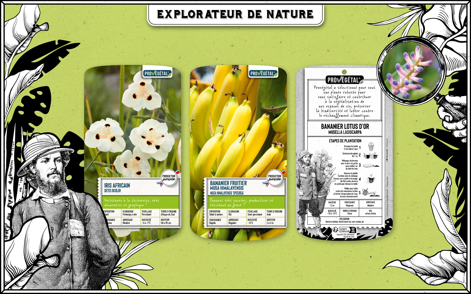 Floramedia - realisations, Provégétal explorateur