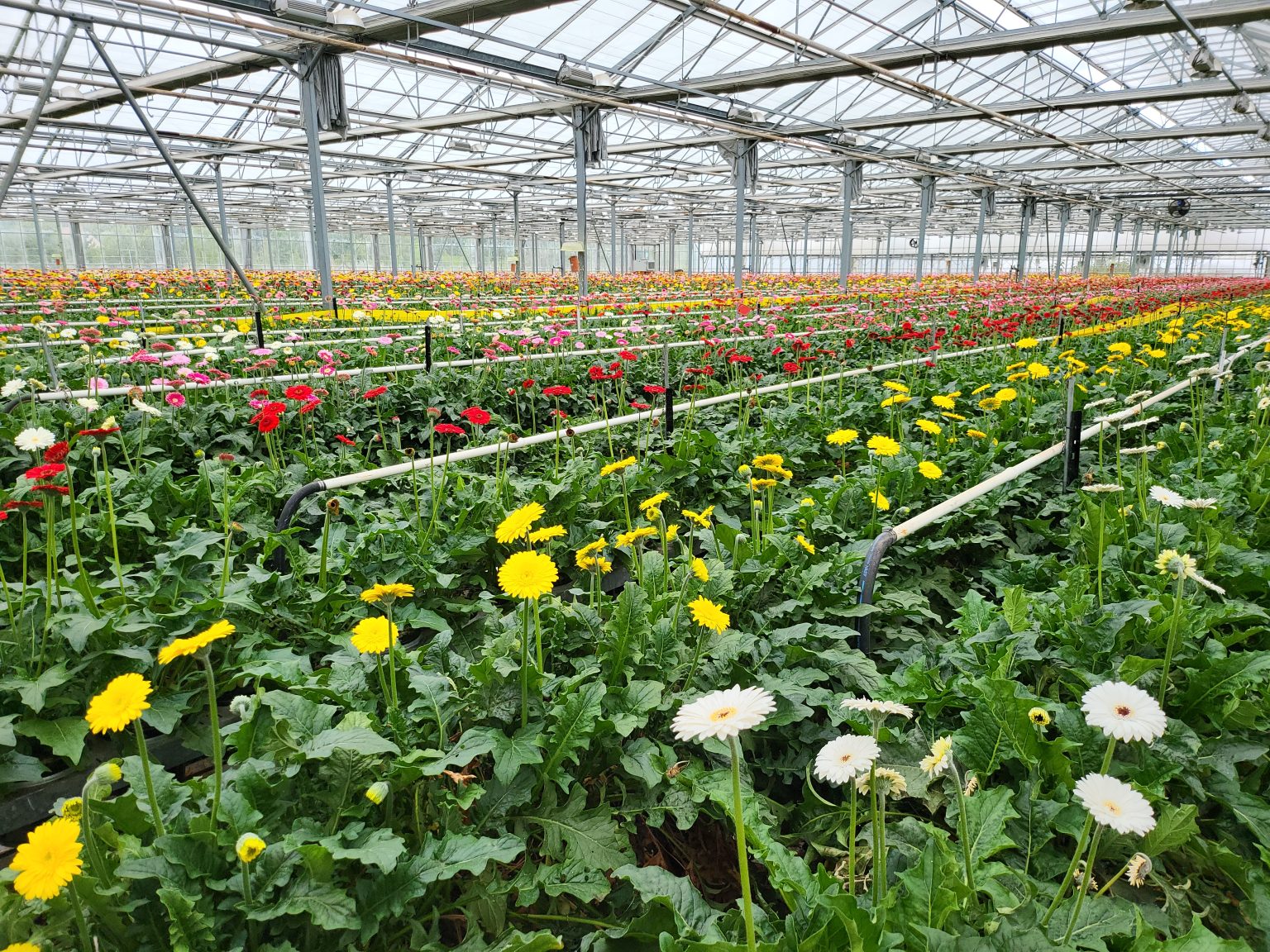 labels et certifications des végétaux - Floramedia - Agence de communication et marketing horticole