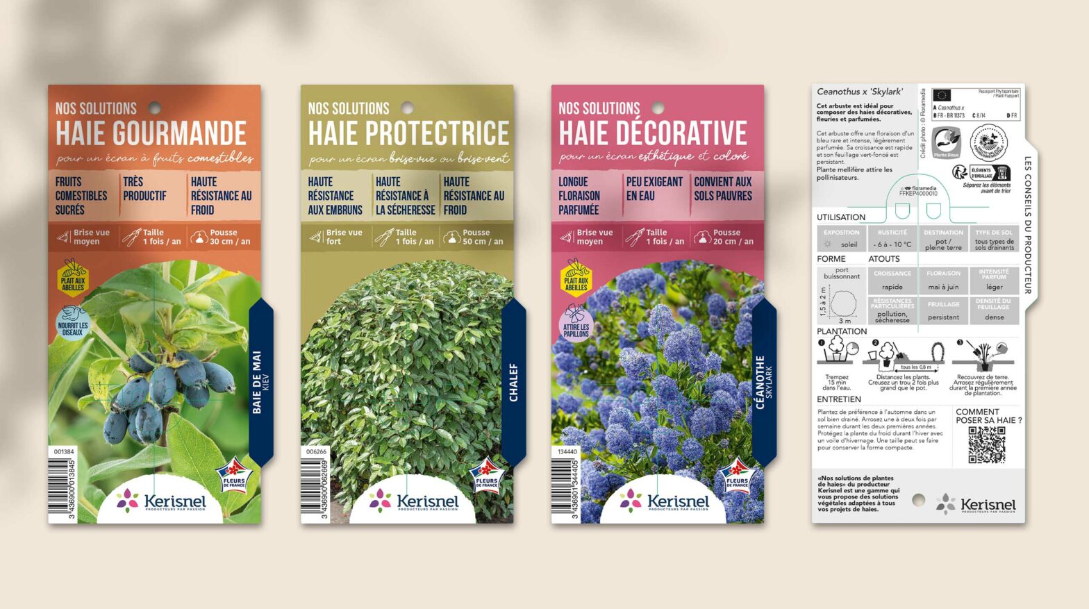 Floramedia - réalisations, solutions haies Kerisnel