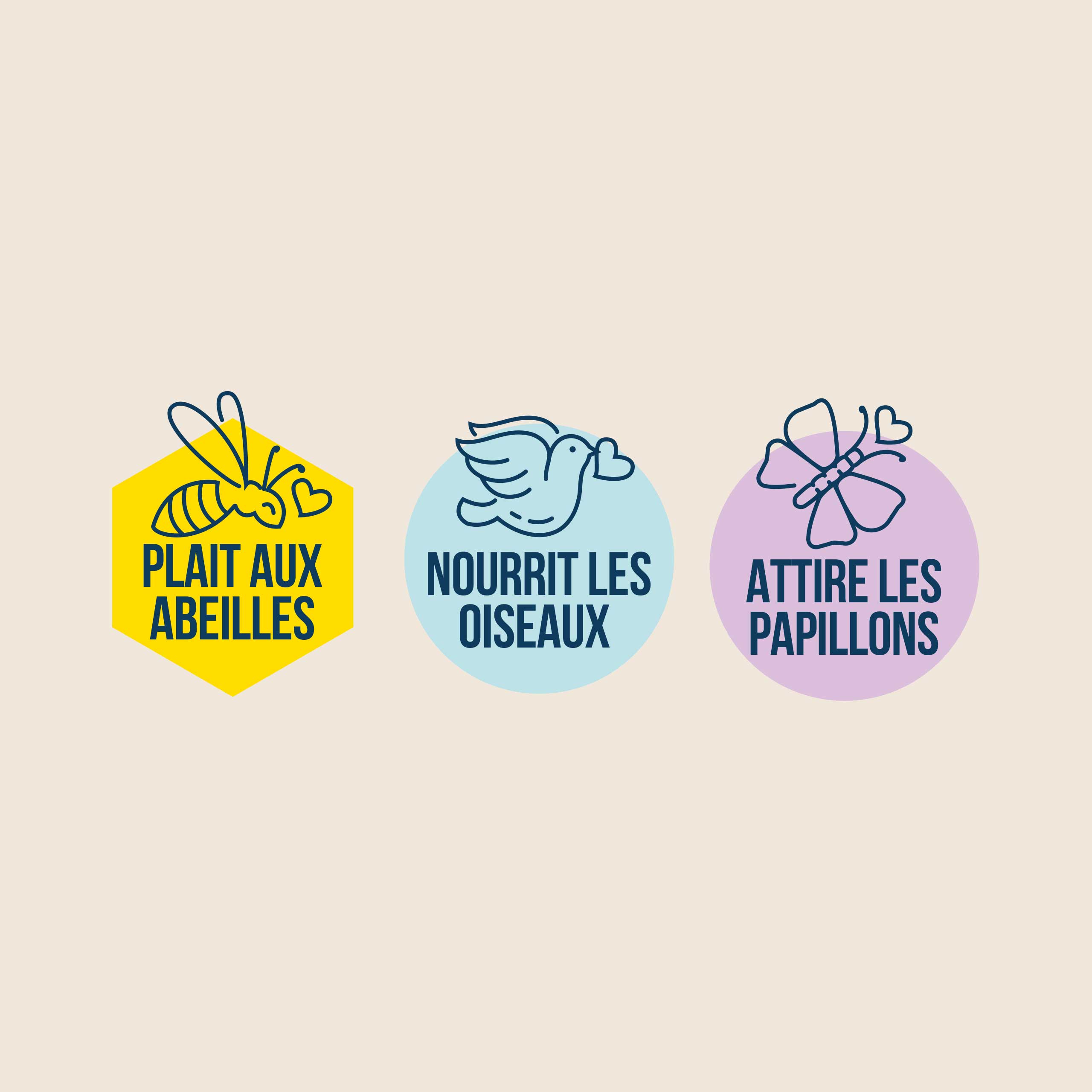 Floramedia - réalisations, solutions haies Kerisnel