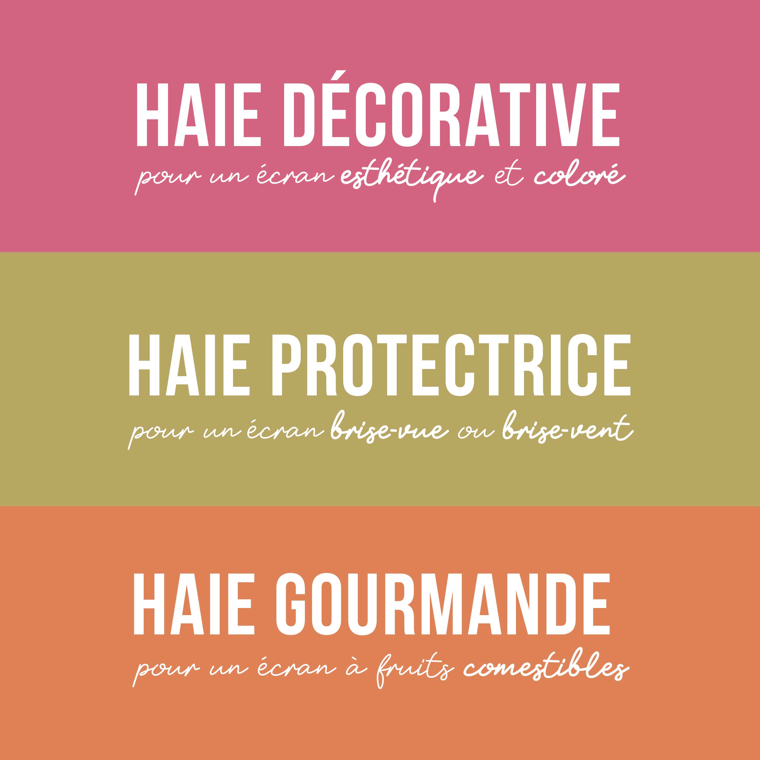 Floramedia - réalisations, solutions haies Kerisnel