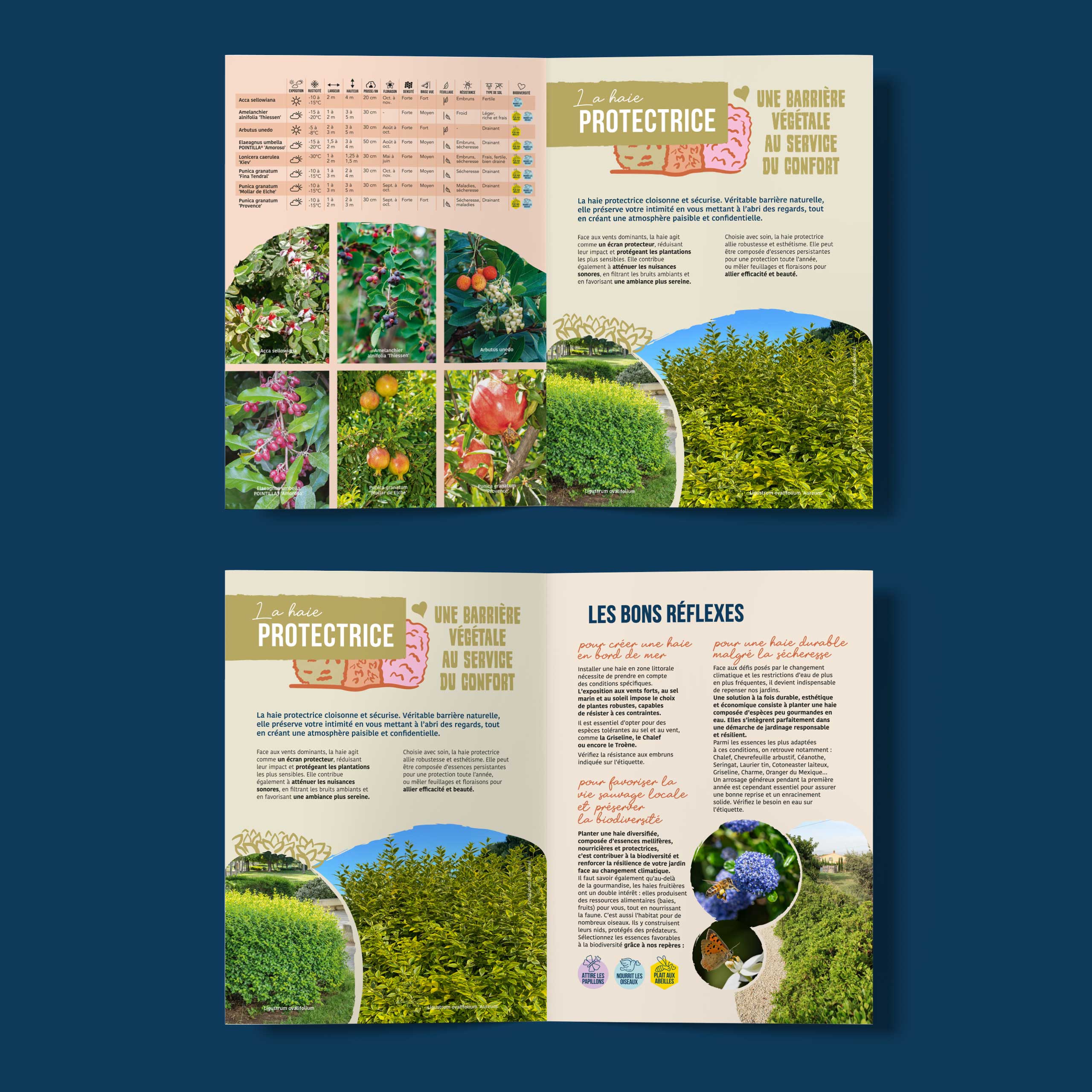 Floramedia - réalisations, solutions haies Kerisnel